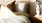 swath of sunlight shines across a well made bed and bedside table with a vase of cotton plants